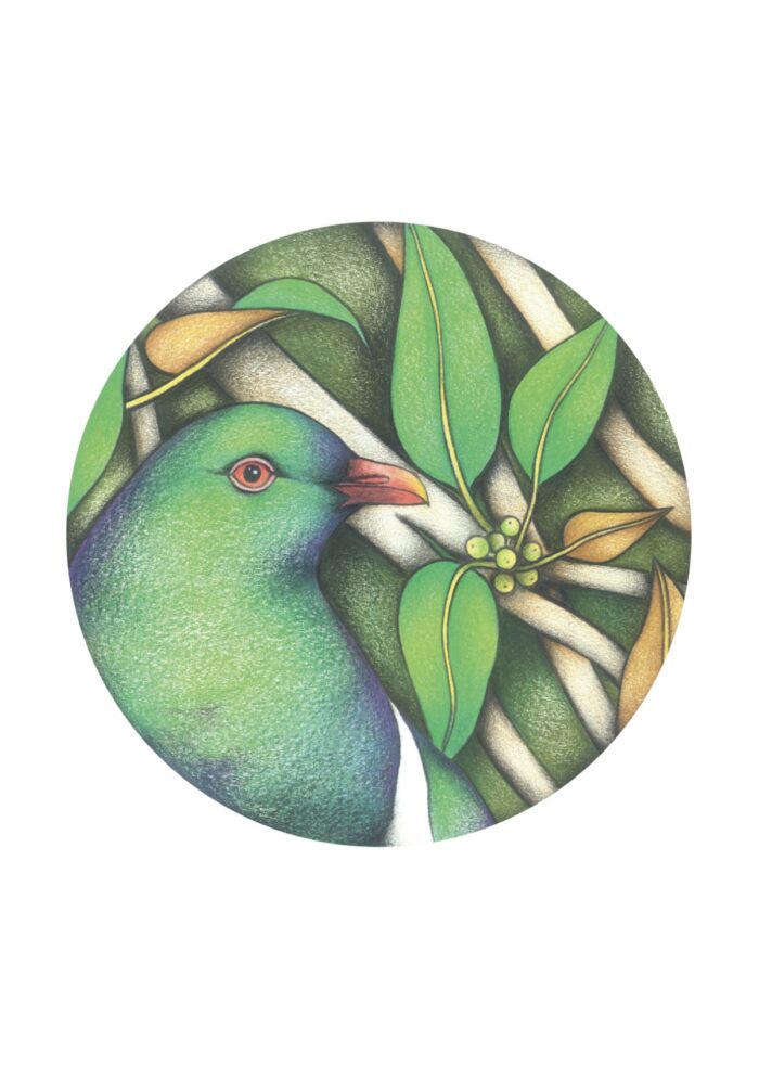 Bird Series: KERERU, Verity Claire Print