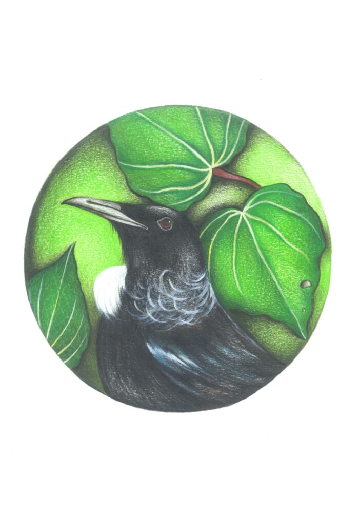 Bird Series: TUI, Verity Claire Print